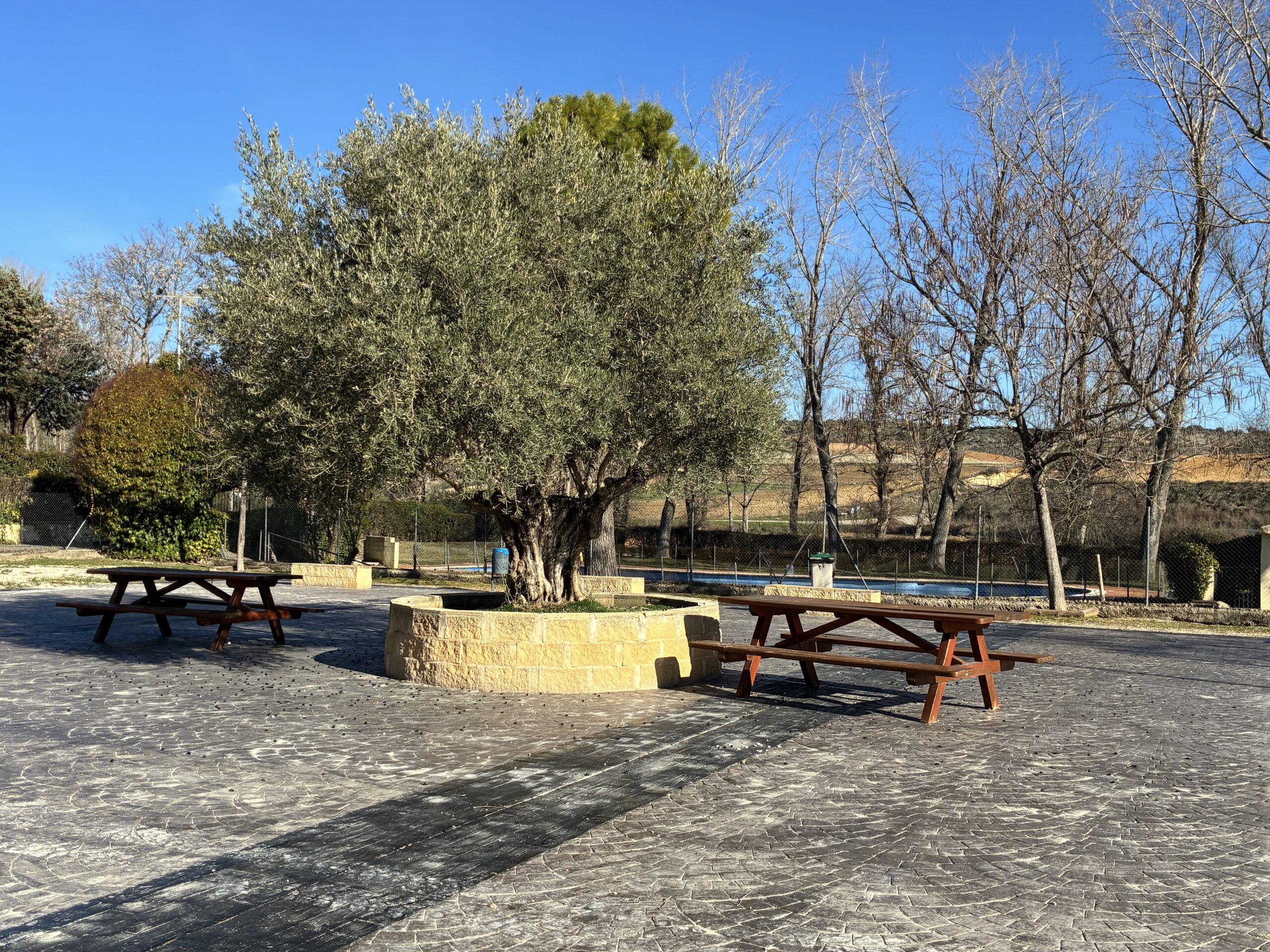 Plaza Zarzabala 3